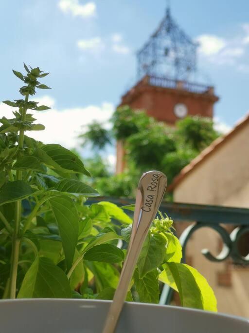Vila Casa Rosa, Un Petit Cocon Catalan Ortaffa Exteriér fotografie