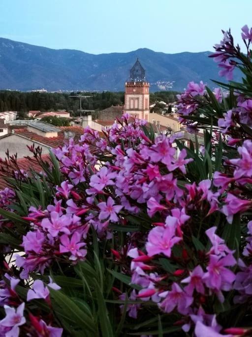 Vila Casa Rosa, Un Petit Cocon Catalan Ortaffa Exteriér fotografie